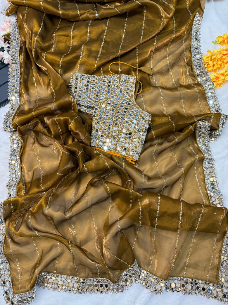 ✨ Mirror Magic Organza Embroidered Saree Set