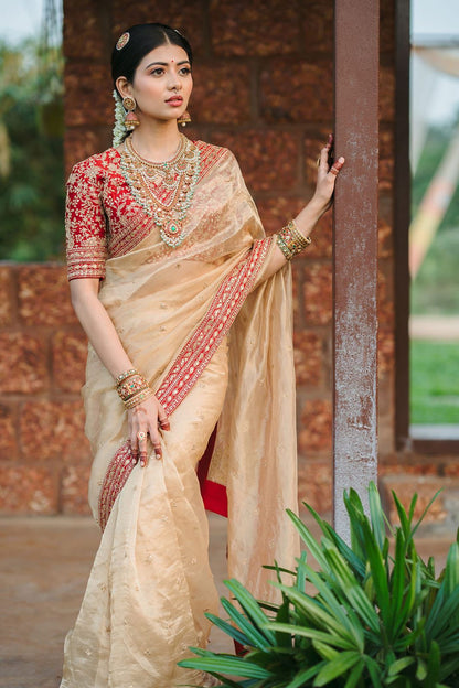 Luxury Embroidered Jimmy Choo Saree with Sequin & Dori Work