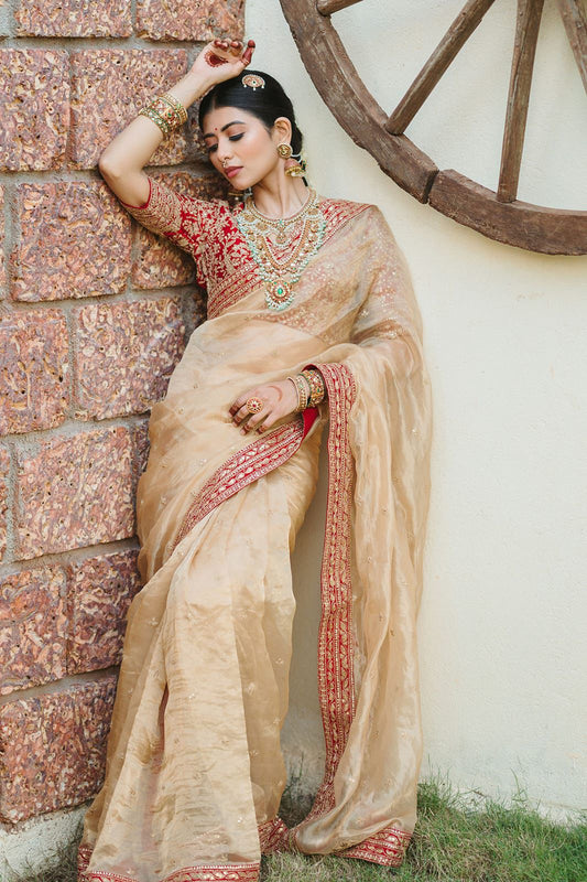 Luxury Embroidered Jimmy Choo Saree with Sequin & Dori Work