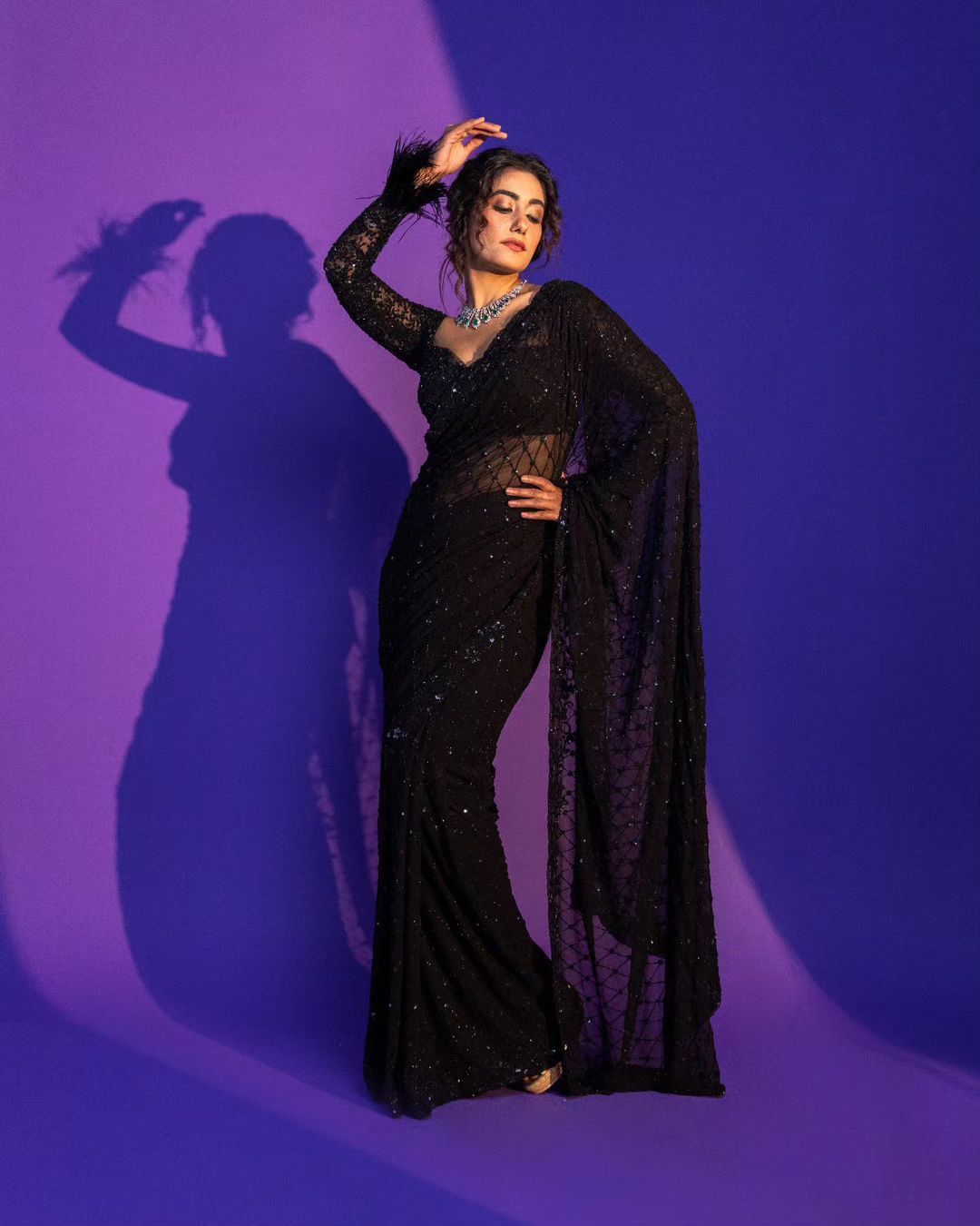 Black Soft Net Sequins Embroidered Saree Front View