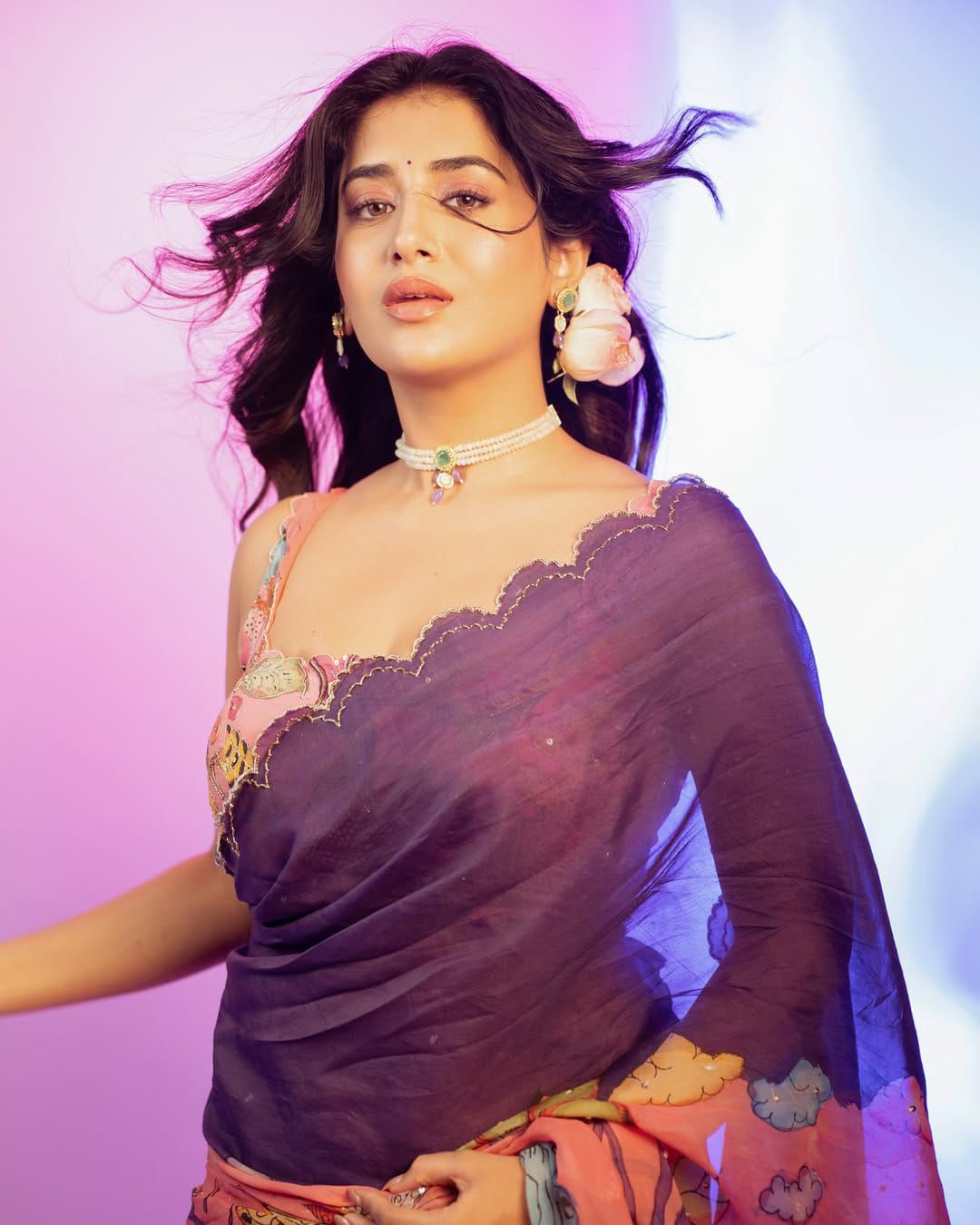 Elegant Floral Print Detailing on Saree