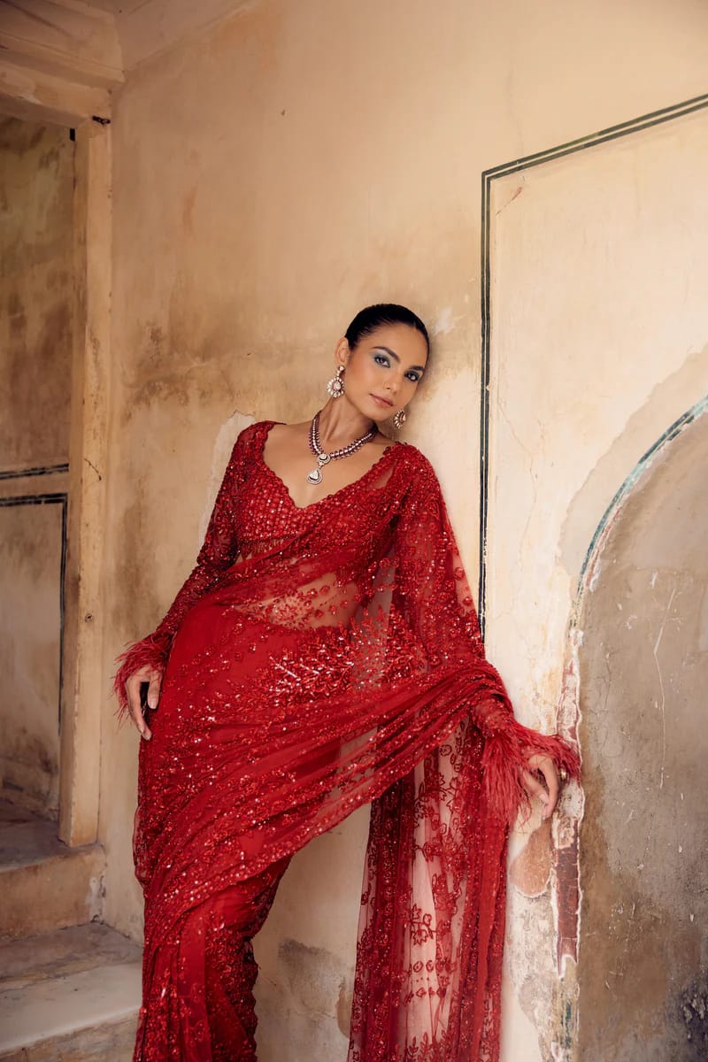 Heavy Butterfly Net Saree Front View