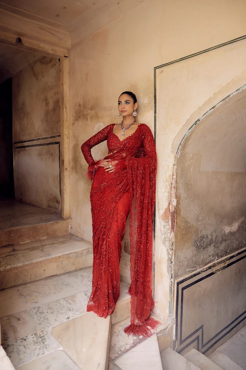 Heavy Butterfly Net Saree Front View