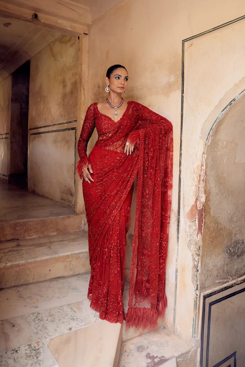 Heavy Butterfly Net Saree Front View