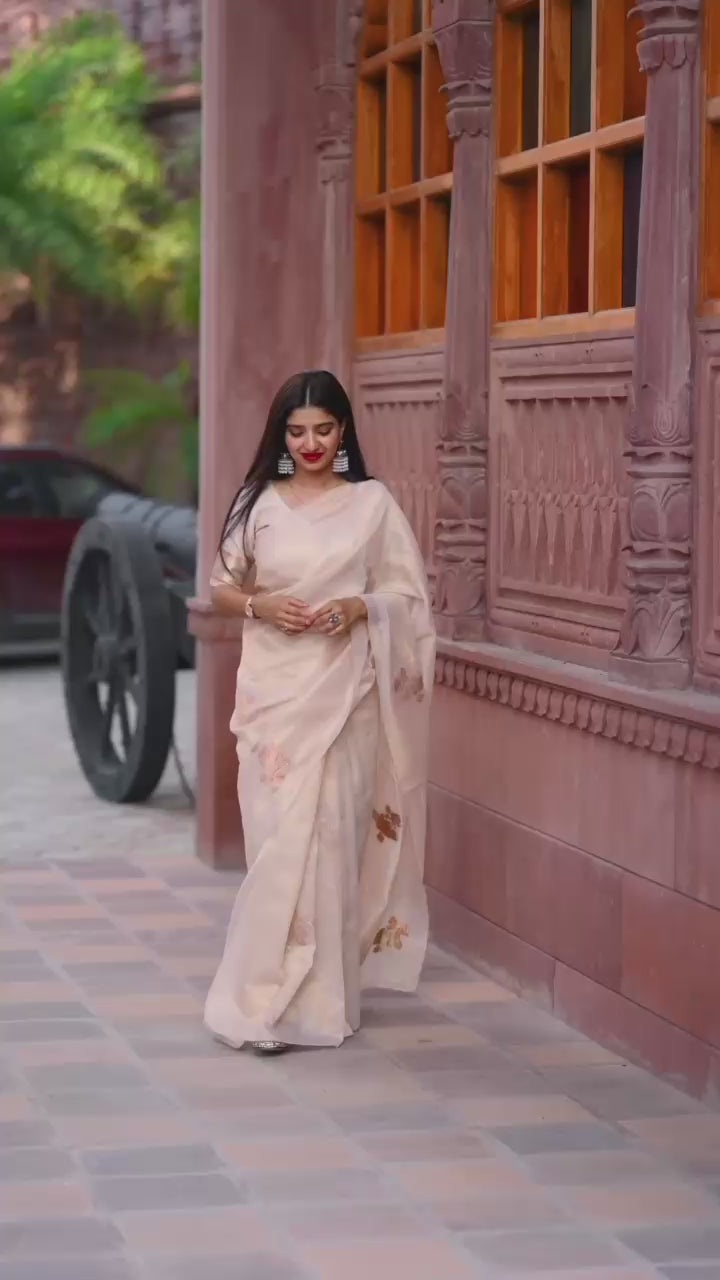 Pastel Taspa Organza Silk Saree with Swarovski and Jacquard Embroidery Work
