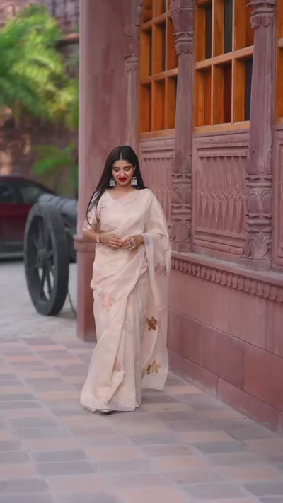 Pastel Taspa Organza Silk Saree with Swarovski and Jacquard Embroidery Work