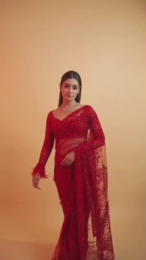 Heavy Butterfly Net Saree Front View